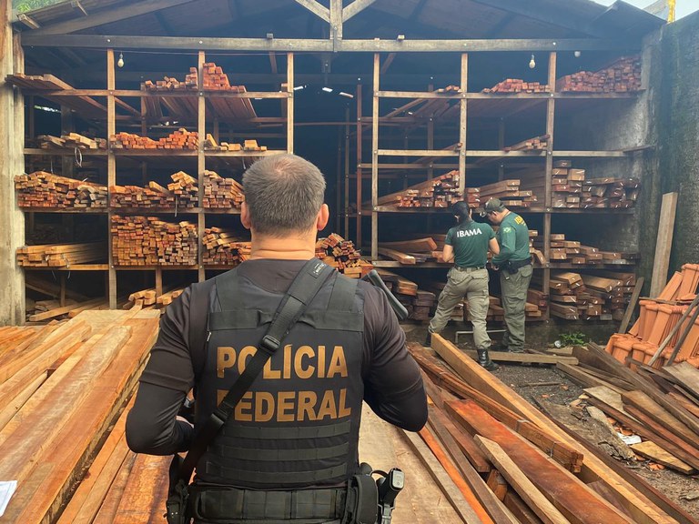 PF realiza operação contra receptação de madeira e fraudes ambientais
