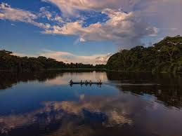 Fundo Amazônia vai destinar R$ 150 milhões para projetos ambientais