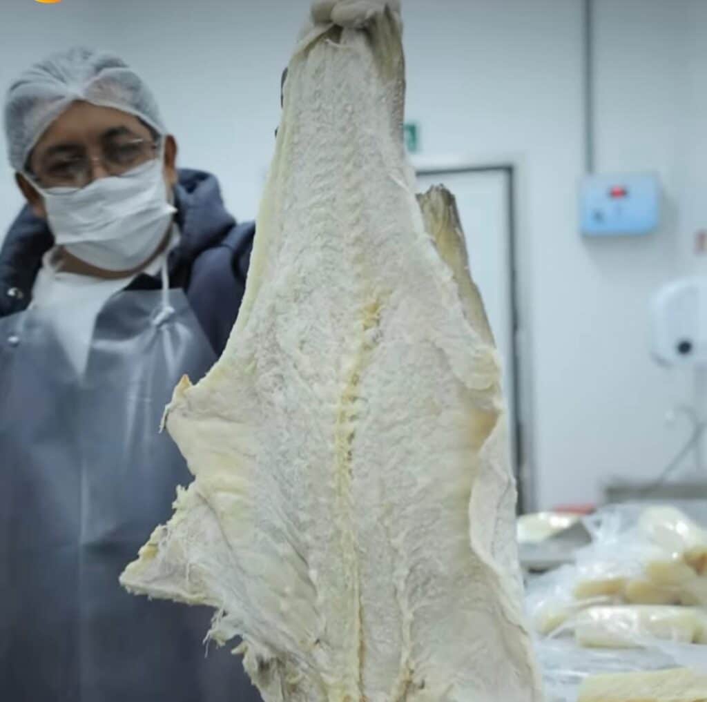 Bacalhau na Páscoa: tradição à mesa com sabor, fé e afeto