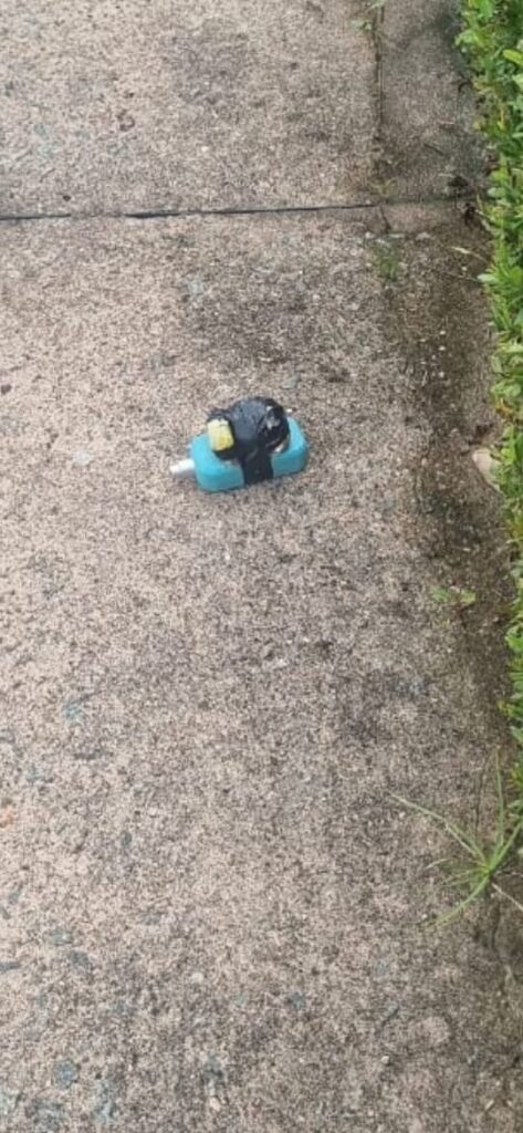 Assista! Artefato explosivo é encontrado na UFMA e é detonado no campus