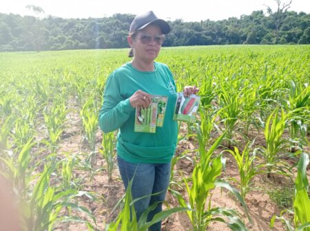 Iniciativas apoiadas pela Suzano fortalecem agricultura familiar na Região Tocantina