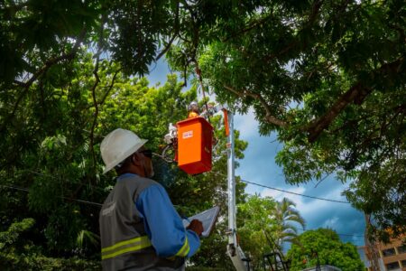 Poda de árvores exige cuidados para evitar acidentes com a rede elétrica
