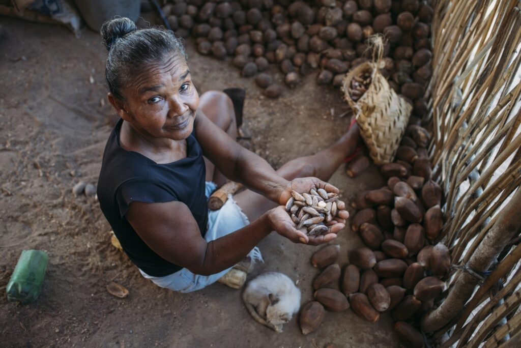 MIQCB celebra identidade, saberes e luta pela proteção dos territórios no Dia das Quebradeiras de Coco Babaçu