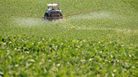 Agrotóxicos vencidos são alvo de apuração em Santa Inês após fiscalização apontar irregularidades em dois estabelecimentos