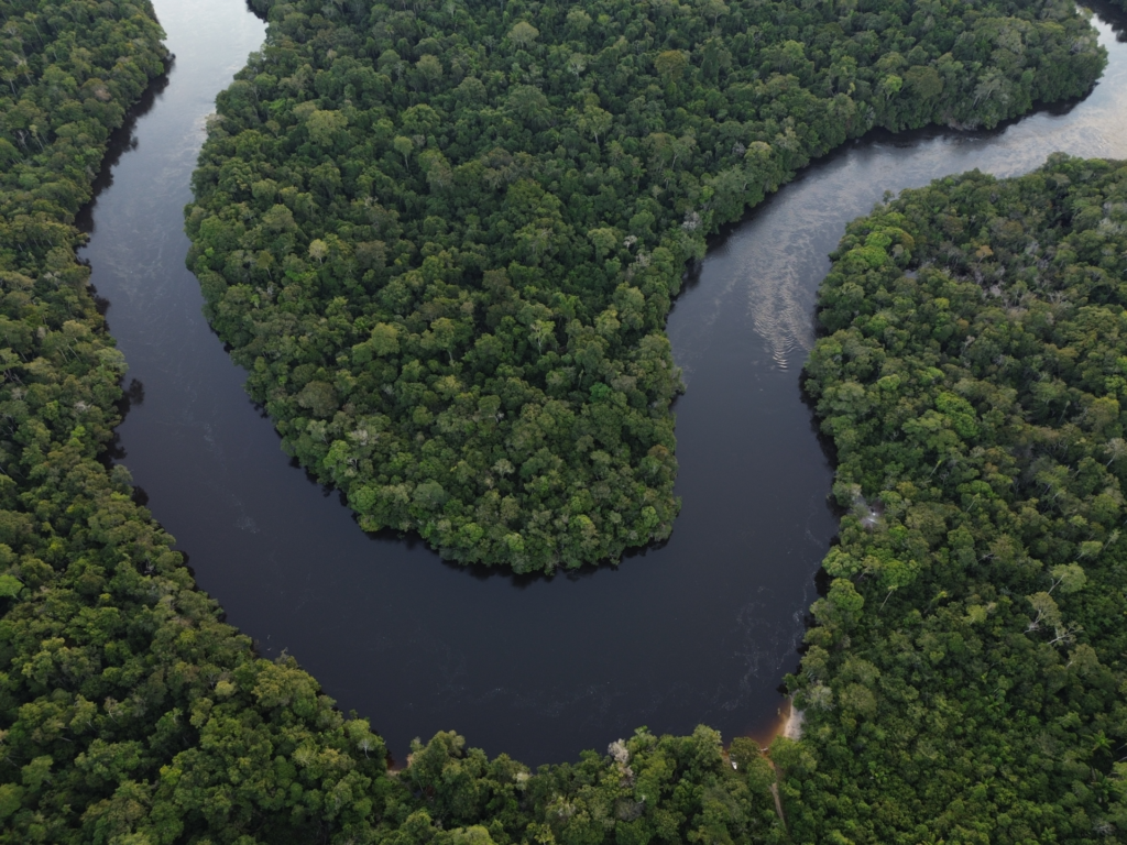 Fundo Amazônia destina R$ 50,5 milhões para gestão territorial e ambiental quilombola na Amazônia Legal
