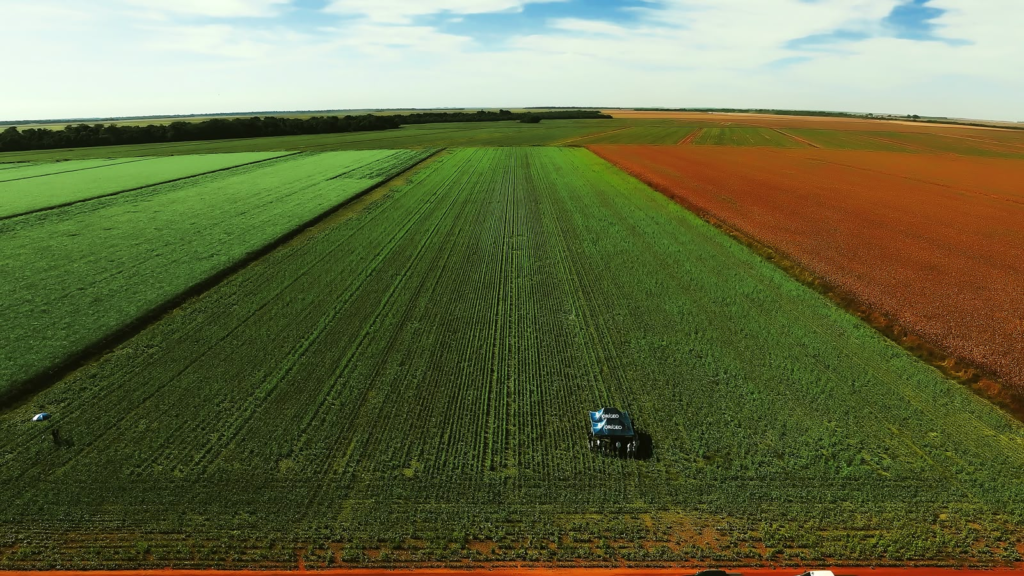 Às vésperas da safra 2026/2027, produtor do Cerrado se prepara para ciclo de maior atenção a clima e manejo