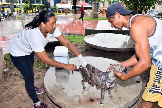 Vacinação contra raiva imunizou mais de 30 mil animais