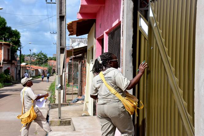 Prefeitura intensifica trabalhos preventivos de combate ao Aedes aegypti