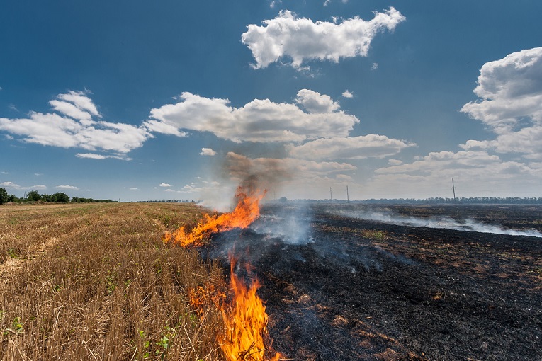 Mudanças climáticas já prejudicam saúde das crianças, diz relatório