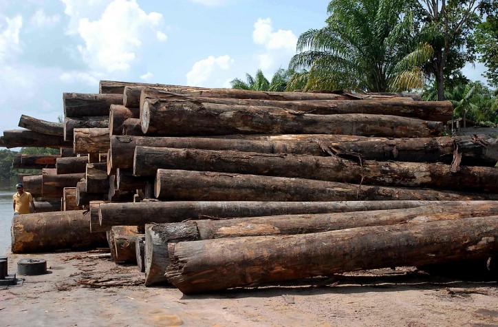 Desmatamento no Maranhão cai 15% no período 2018/2019, diz INPE