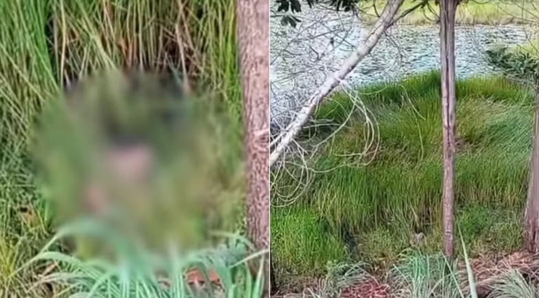 Cabeça humana é encontrada em córrego de povoado de Cidelândia/MA