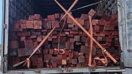 Fiscalização na BR-230 apreende carga excedente de madeira nativa em Balsas