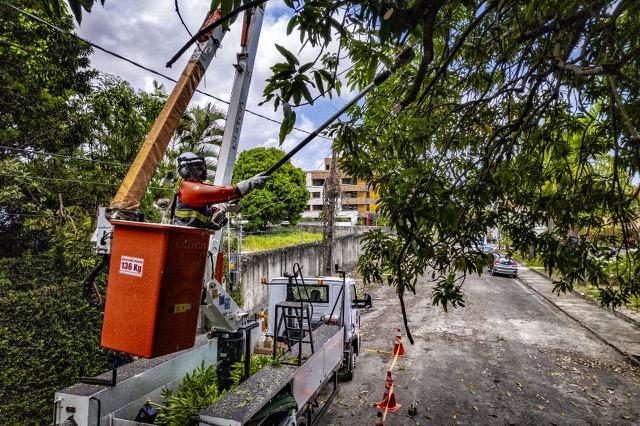 Serviços na rede elétrica exigem atenção com segurança, alerta distribuidora