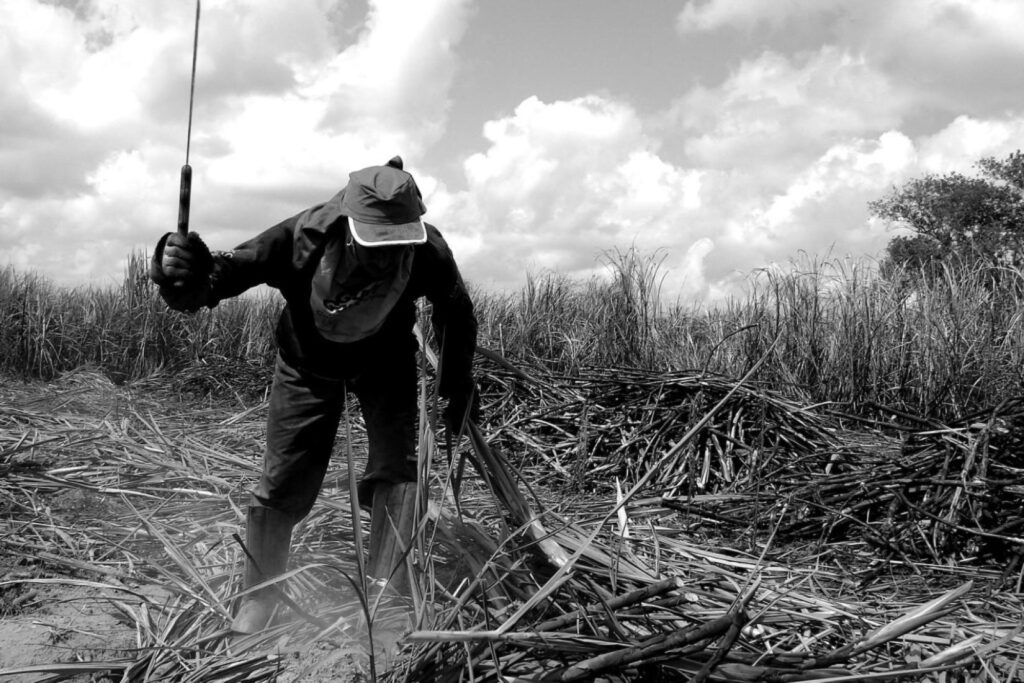 Maranhão segue entre os estados com mais registros de trabalho escravo no país