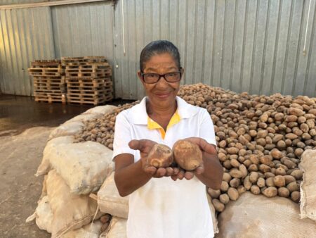 Sebrae Maranhão participa de visita técnica à Apoena e destaca potencial da bioeconomia do babaçu