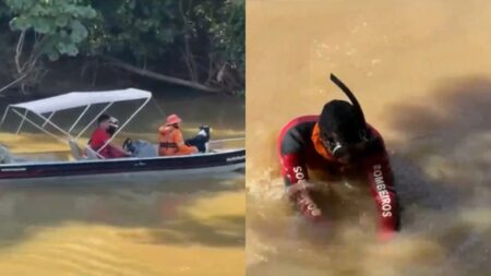 Busca por crianças desaparecidas em quilombo do Maranhão entra em nova fase com equipes reduzidas