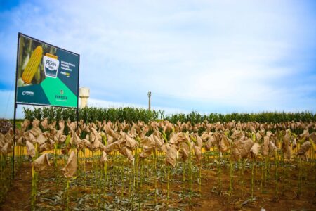 Economia do Maranhão supera média nacional e regional com crescimento de 4,2%