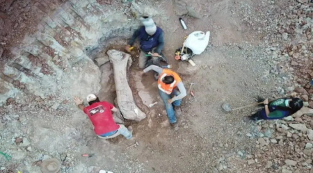 Nova espécie de dinossauro de 20 metros é descoberta em obra ferroviária no Maranhão