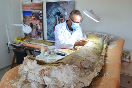 Parente mais próximo de dinossauro maranhense viveu na Espanha, aponta estudo