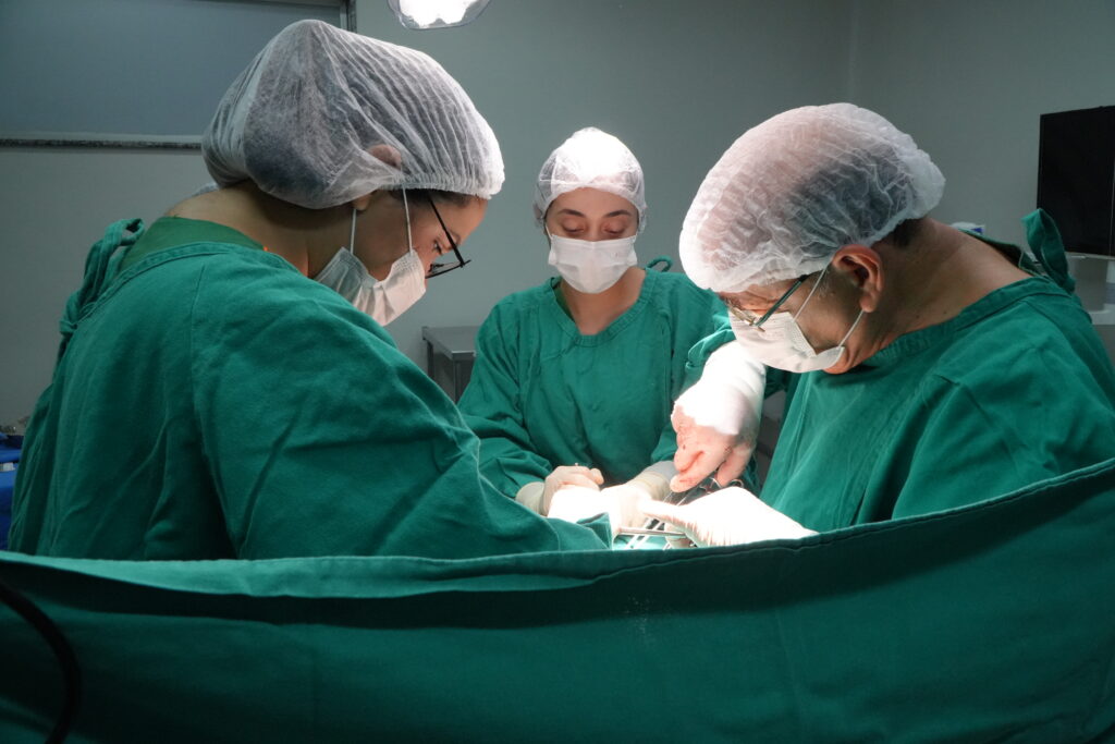 HU-UFMA participa do maior mutirão de saúde pública do país com foco na pessoa idosa