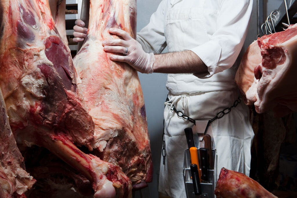 Nordeste acelera exportação de carne bovina e cresce 51% no primeiro trimestre
