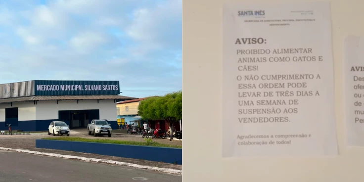 Fiscal coloca cartaz proibindo alimentar cães e gatos em mercado de Santa Inês sem autorização da prefeitura